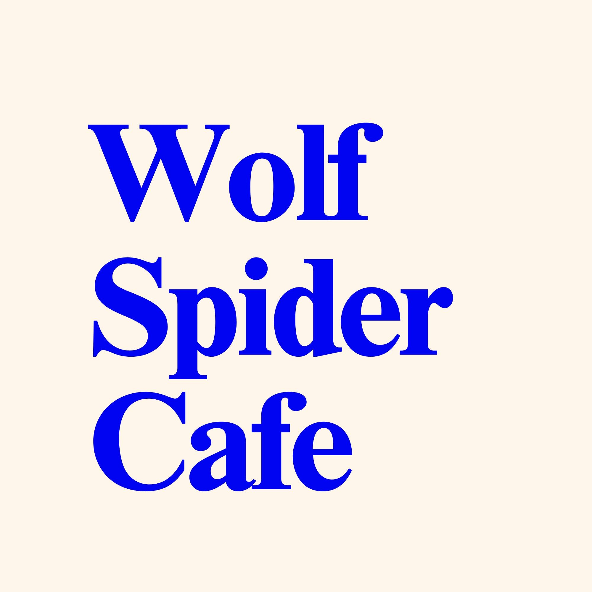 Wolfspider - Bacolod